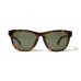 画像2: (STANDARD CALIFORNIA/スタンダードカリフォルニア) × (金子眼鏡) KANEKO OPTICAL × SD Sunglasses Type 6  Brown/Green	 (2)
