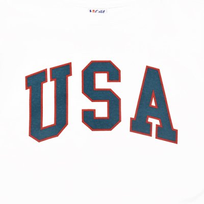 画像5: 20%OFF(STANDARD CALIFORNIA/スタンダードカリフォルニア)SD United We Standard T ホワイト(メンズ)S/M/L/XLサイズ