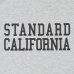 画像2: (STANDARD CALIFORNIA/スタンダードカリフォルニア) SD Tech Dry Logo T■Gray■（メンズ）M/L/XLサイズ (2)