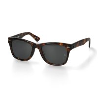 (STANDARD CALIFORNIA/スタンダードカリフォルニア) × (金子眼鏡) KANEKO OPTICAL × SD Sunglasses Type 8  Brown