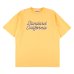 画像1: SALE対象外 (STANDARD CALIFORNIA/スタンダードカリフォルニア) SD Heavyweight Basic Logo T■YELLOW■（メンズ）M/L/XLサイズ (1)