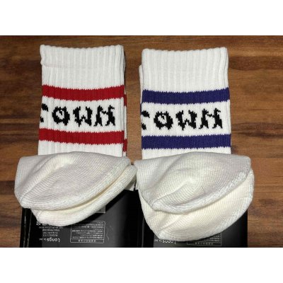 画像6: (DOGTOWN/ドッグタウン) ロゴラインクルーソックス 