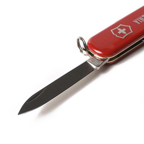 画像5: (STANDARD CALIFORNIA/スタンダードカリフォルニア) VICTORINOX × SD Ambassador (5)