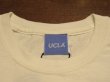 画像5: ■University of California Los Angeles (UCLA)×トニータイズサン(Tony tazsun) プリントTシャツ ブルーインズ■ホワイト■（メンズ）M/Lサイズ (5)