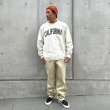画像8:  スタンダードカリフォル二ア（STANDARD CALIFORNIA) Champion For SD Exclusive R.W Crew Sweat■Oatmeal■（メンズ）M/L/XLサイズ (8)